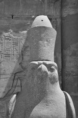 TEMPLE D'EDFOU STATUE EN GRANITE DIEU FAUCON HORUS