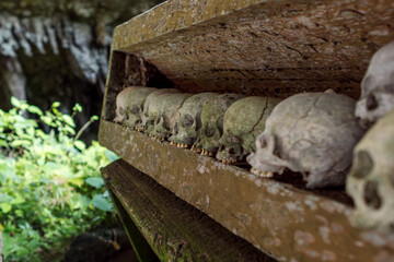 Skulls in a coffin called Erong, exposed in the spectacular cave tomb of Lombok Parinding which has...