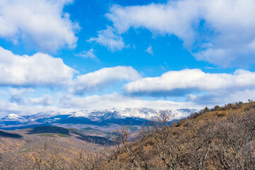 Spring landscape. Trees without leaves in anticipation of warming, snow-capped mountains, and blue sky on the horizon