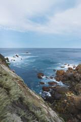 Lichen covered cliff ends in the ocean
