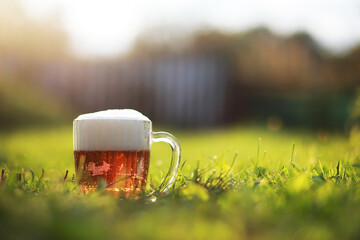 mug of beer on the grass
