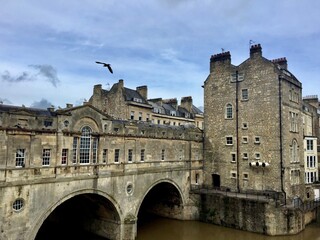Fototapeta na wymiar Pulteney bridge over Avon river in Bath. Somerset, England. Old town, stone walls, picturesque spot, blue sky, flying bird, dark water. Chimney. Rapids on a river. Stream. Moss