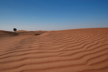 Sunset over the sand dunes in the desert.