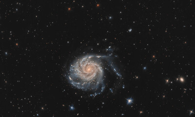 Galassia M101