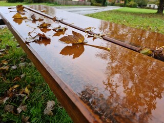 regnerischer Herbsttag