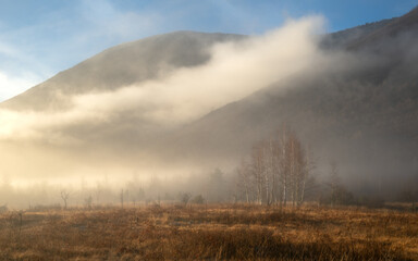 Obraz na płótnie Canvas misty morning in the mountains