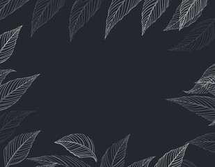 leaves in dark background monochtome vector illustration