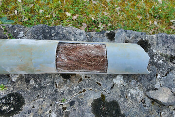 Drainage pipe cut open to show how roots can tangle and block pipes, ultimately leading to...