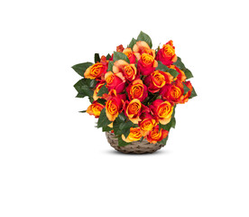 Beautiful flowers in a pot isolated on white background with clipping path