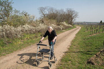 frau mit rollator unterwegs