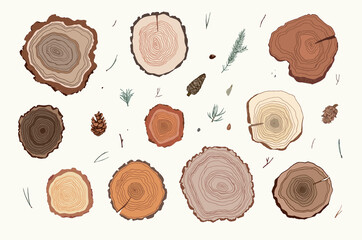 Tree rings hand drawn vector illustrations set