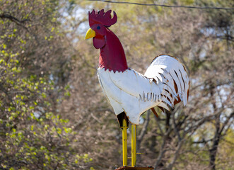 a metal rooster on top of a weather vane © Mark
