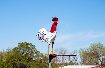 a metal rooster a top a weather vane in Texas