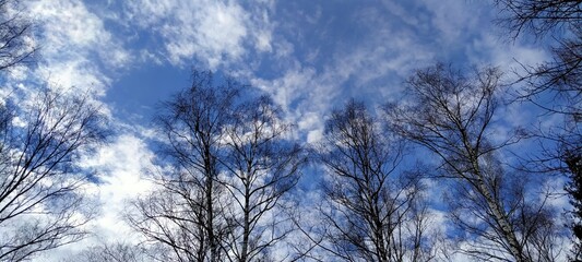 clouds in the sky 