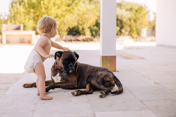 Petite fille de deux ans caresse un boxer, en vacances, en lange, au bord de la piscine
