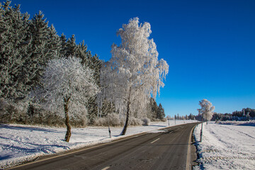 Winterlandschaft mi Raureif