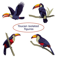 Isolated figures of toucans a tropical bird flying and sitting on a branch