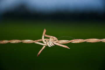Barbed wire, straight barbed wire in a straight line against beautiful background, used as background illustration.