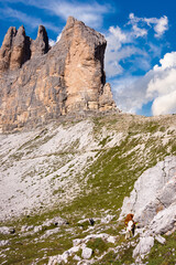 Tre cime di Lavaredo mountain peaks in Italy, a famous travel destination in Dolomite mountains