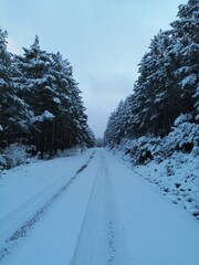 Obraz premium Camino bajo nieve.