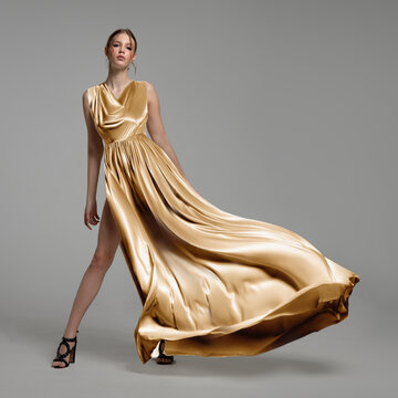 Woman In A Long Gold Dress. Fashion
