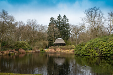 Obraz premium Northern Europe's park and forest