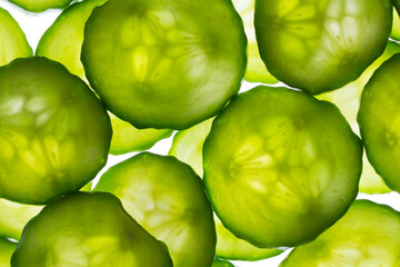 Backlit cucumber slices macro shot