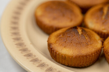Cup cakes served on the plate with copy space