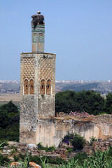 Kasbah Chellah in Rabat in Morocco
