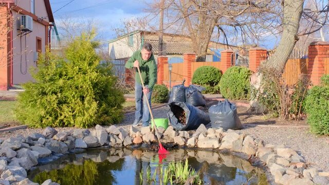 Middle-aged caucasian man with a leaf rake cleans an artificial garden pond from water plants and falling leaves. Spring seasonal pond care after winter