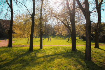 City park, spring afternoon, some people are walking and running