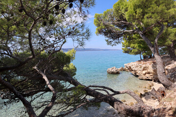 Seascape green pine trees against the background of blue sky and turquoise water on the Adriatic Sea on a sunny day, Croatia, Dalmatia