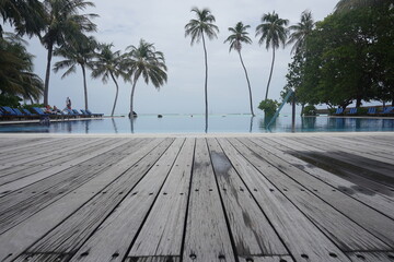 Fototapeta na wymiar view on swiming pool near palms 