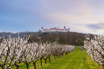 Gottweig Abbey in Wachau, Lower Austria during apricot tree blossom time.