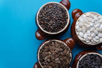 Watermelon seeds.Various varieties of watermelon seeds on a blue background