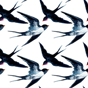 Seamless watercolor pattern with swallows isolated on white background