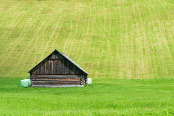 Hölzerner Heustadel in grüner Almwiese