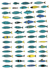 Stylized fishes for design. Many different fish on a white background.