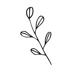 One hand-drawn twig with leaves. Doodle vector illustration. Isolated on a white background, black and white graphics