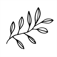 One hand-drawn twig with leaves. Doodle vector illustration. Isolated on a white background, black and white graphics