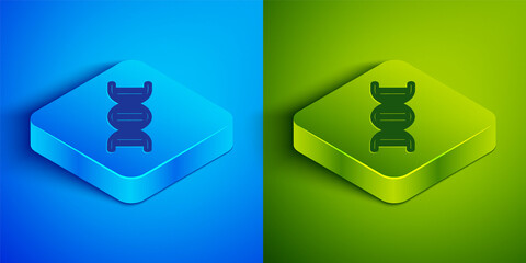 Isometric line DNA symbol icon isolated on blue and green background. Square button. Vector