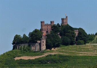 Fototapeta na wymiar Schloss Ortenberg / Baden mit Weinbergen