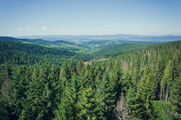 View from Treetop walk Bachledka/Slovakia