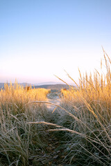 Walk path on the top of Sklanata hill during sunrise (Slovakia)