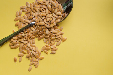 melon seeds. melon seeds on a yellow background