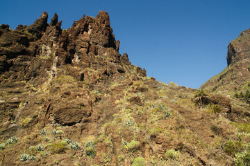 Naturaleza en las colinas volcánicas del sur de la isla de Tenerife, Islas Canarias, España....