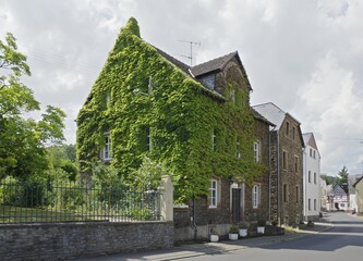 Ein bewachsenes Winzerhaus in Wehlen an der Mosel
