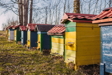 apiary, colorful beehives, bees in the garden, apiculture, 
beekeeping