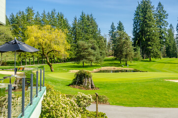 Golf course with gorgeous green.