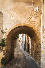 Fototapeta na wymiar ancient street with arch in the old city of Coimbra